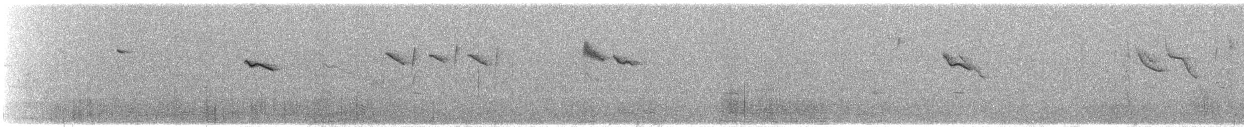 thornbill sp. - ML644745111