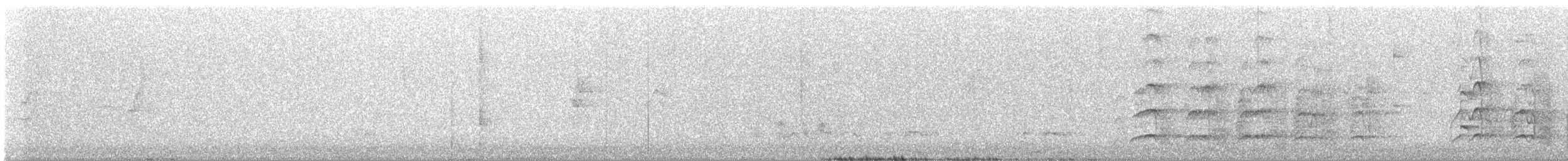 Carnaby's Black-Cockatoo - ML644745386