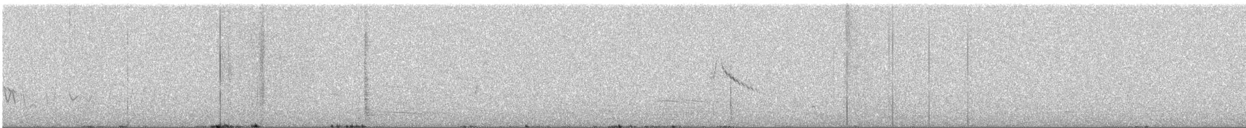 Australian Pipit - ML644745443