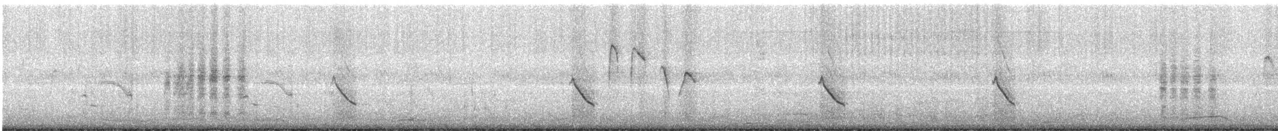 Couturière à longue queue - ML644745692