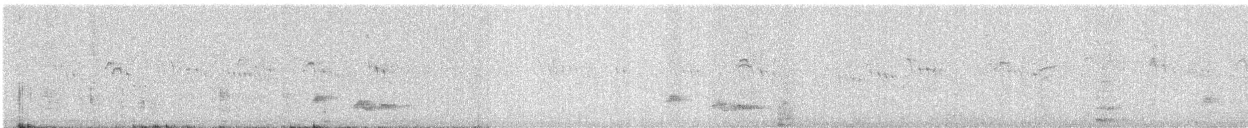 Little Swift - ML644745787