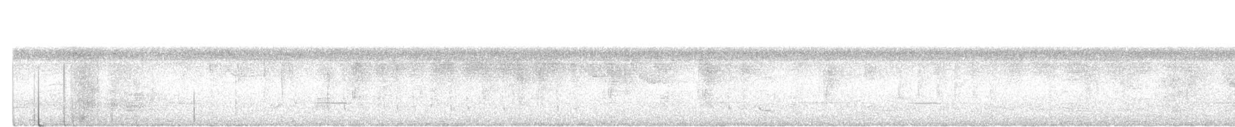 Gray-hooded Babbler - ML644746008