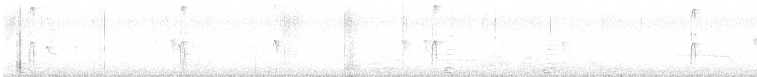 strakapoud americký - ML644746470