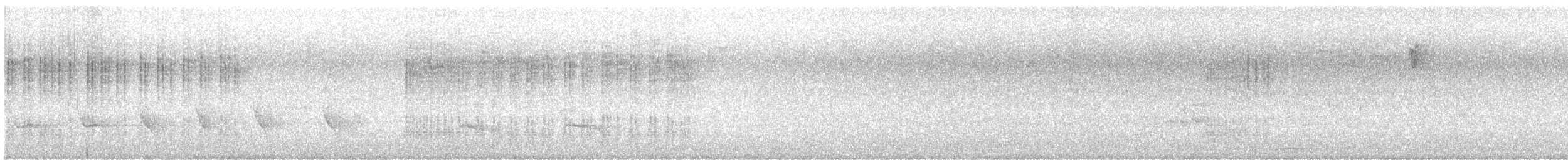 Grive draine - ML644746666