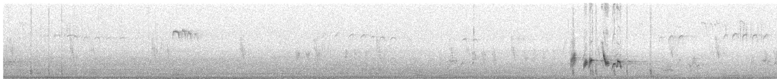 Bulbul à joues blanches - ML644747222