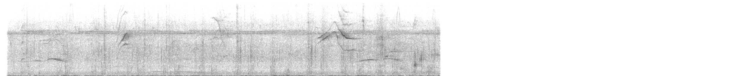 ヒメタイランチョウ - ML644747349