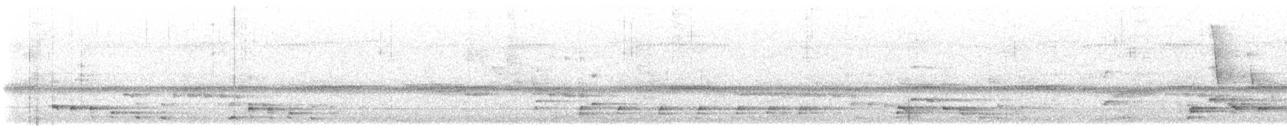 ハクトウワシ - ML644747358