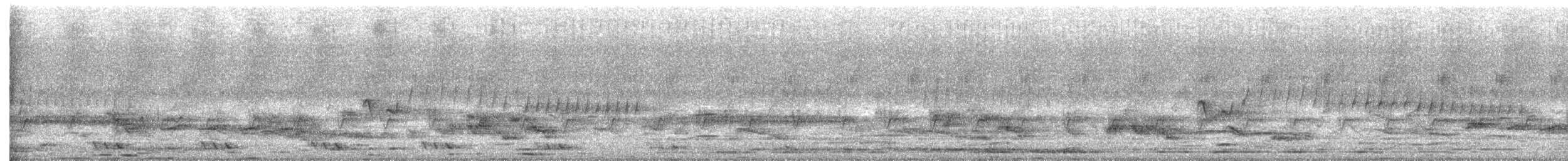 Violet Cuckoo - ML644747969