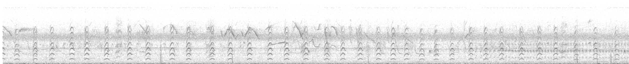 pisila černokrká - ML644749241