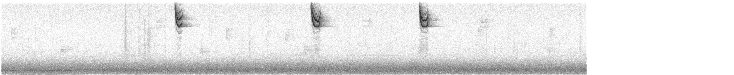 Chingolo Cantor (melodia/atlantica) - ML644750093