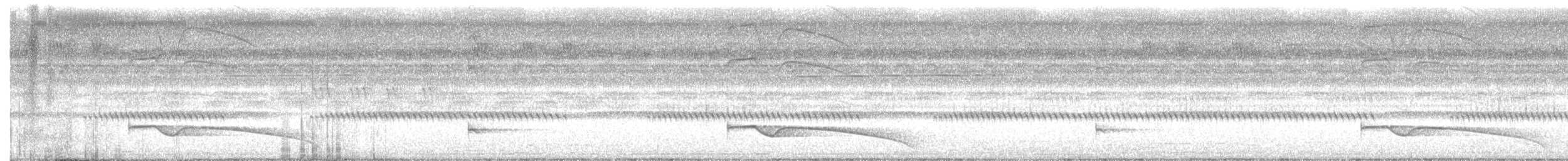 Great Eared-Nightjar - ML644750121