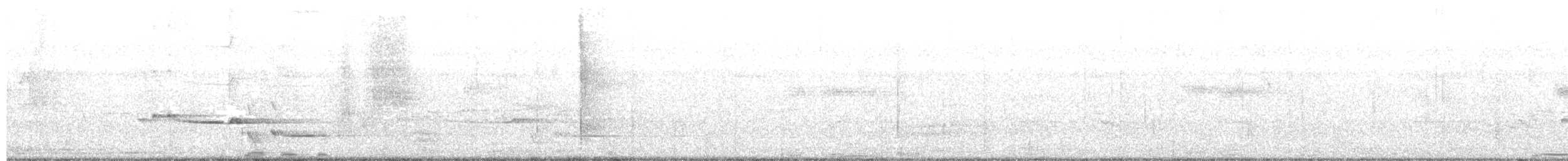 Белобровый гладиатор - ML644750535