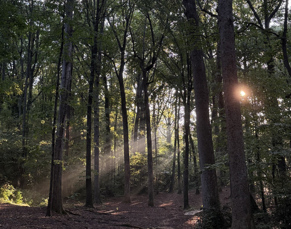 Kilborne District Park - Mecklenburg, North Carolina, US - Birding Hotspots