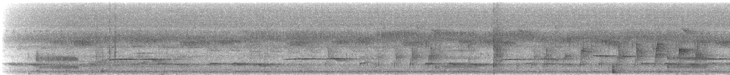 Turaco Gigante - ML644751035