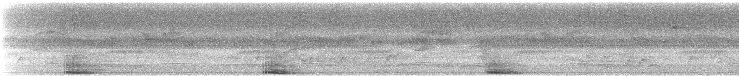 Turaco Gigante - ML644751036