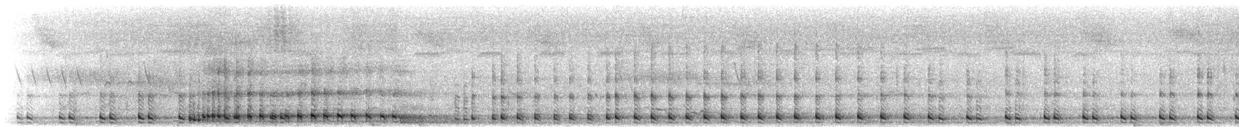 Turaco Gigante - ML644751037