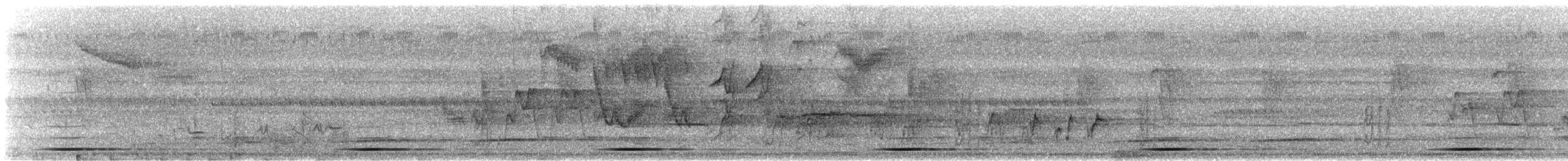 Turati's Boubou - ML644751083