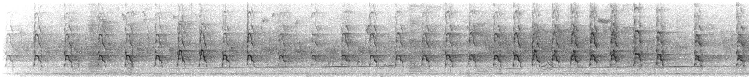 West African Pied Hornbill - ML644751938