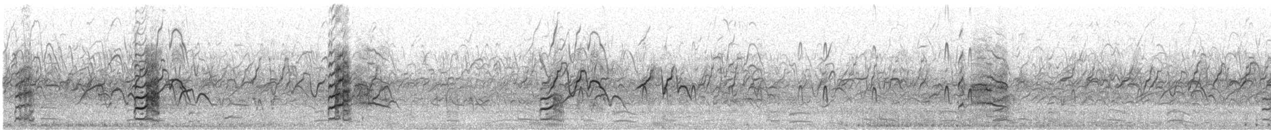 Black-winged Stilt - ML644752224