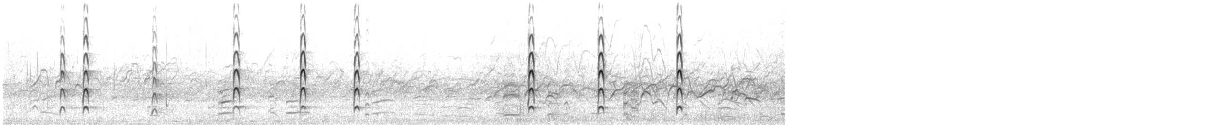 Spur-winged Lapwing - ML644752234