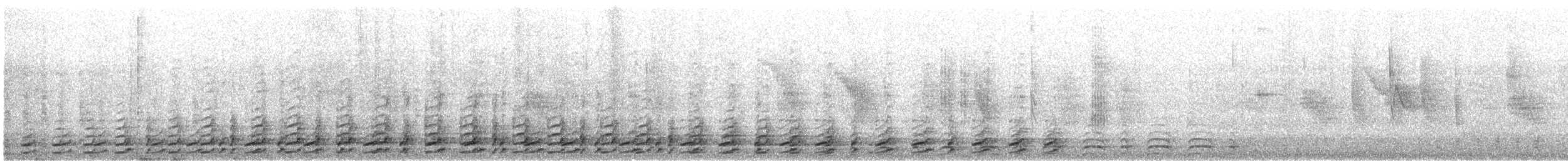 African Gray Hornbill - ML644752243