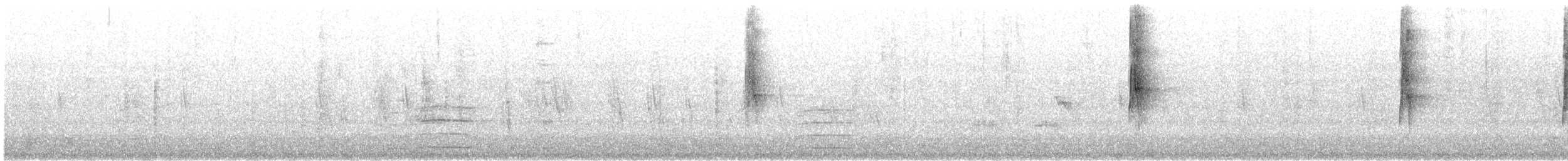 Pied Kingfisher - ML644752253