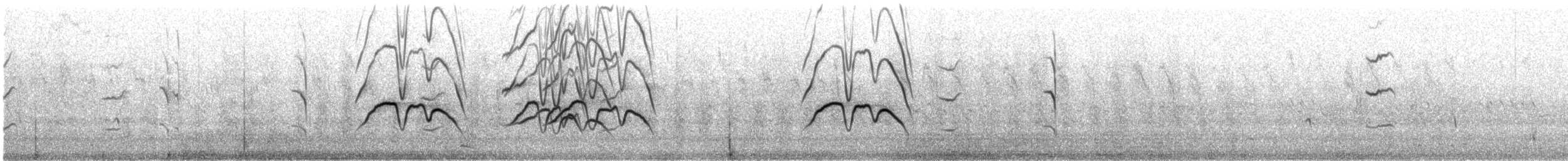 White-faced Whistling-Duck - ML644752437