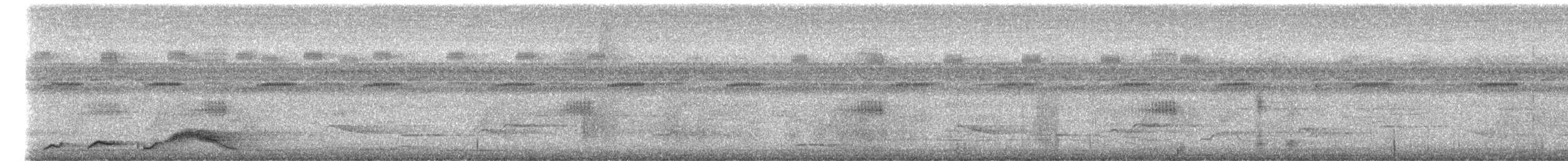 pauraquenattravn - ML644752566