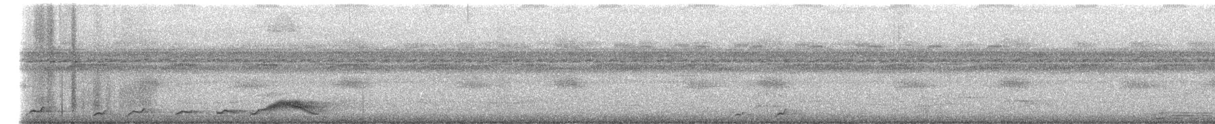 pauraquenattravn - ML644752567