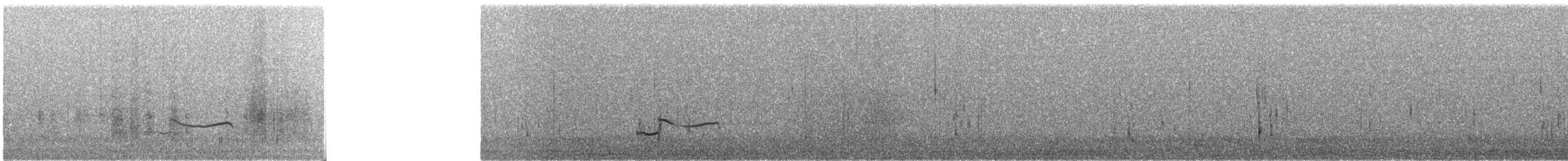 kulík bledý - ML644752914