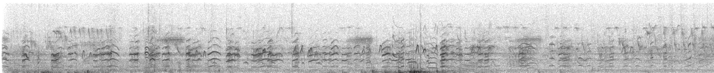 stylteløper - ML644752981