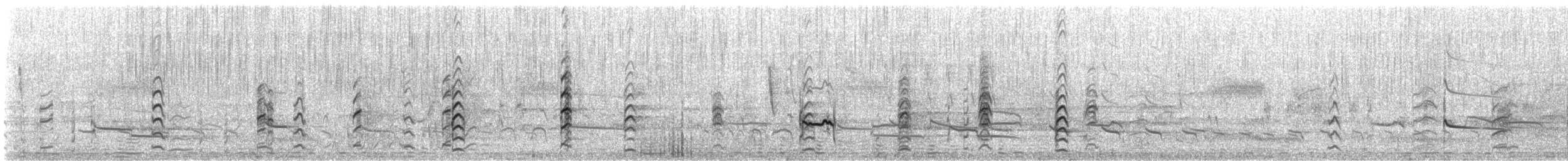 stylteløper - ML644752996