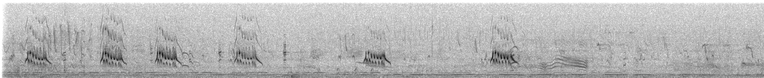 sebrabieter - ML644753002