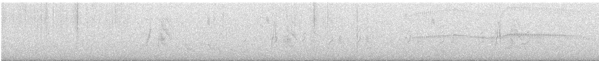 vierempid - ML644753093