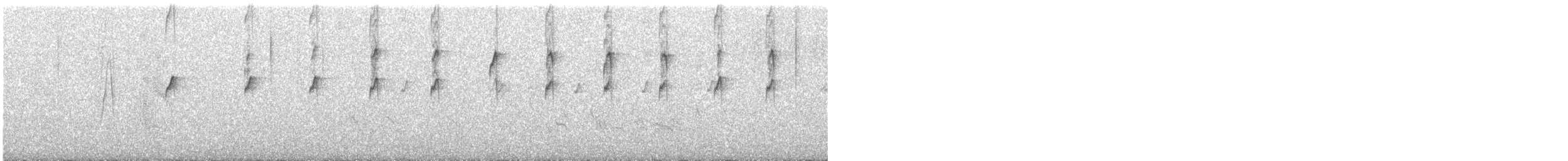maracaibotodityrann - ML644753274