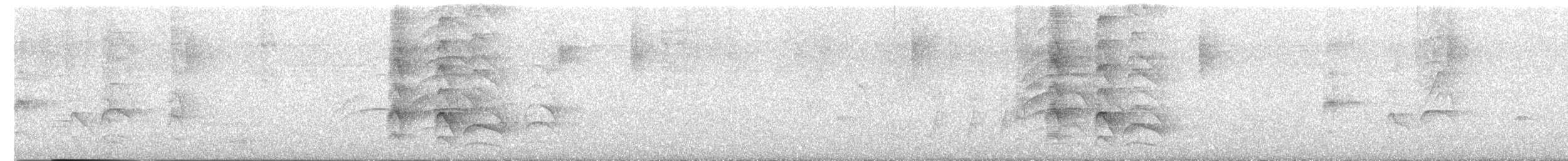 Great Kiskadee - ML644754054