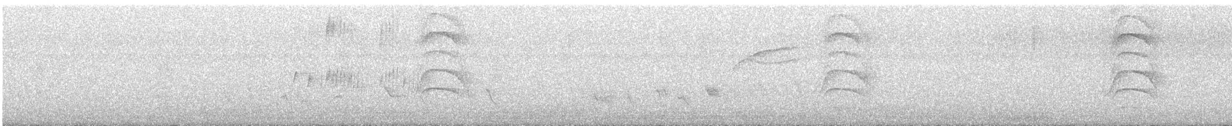 Great Kiskadee - ML644754148