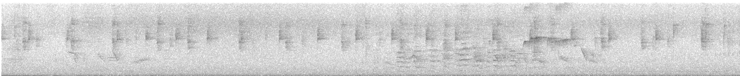 Northern Waterthrush - ML644754272