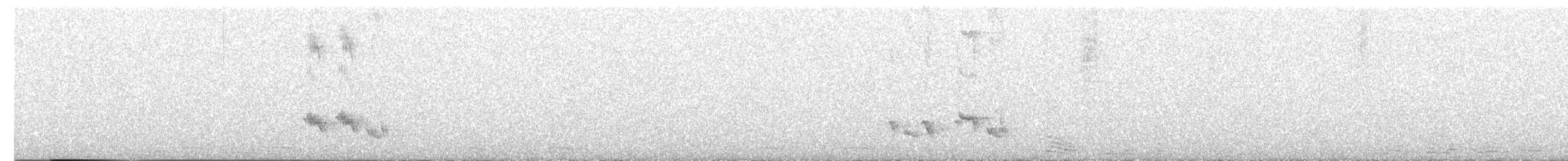 Tropical Mockingbird - ML644754452