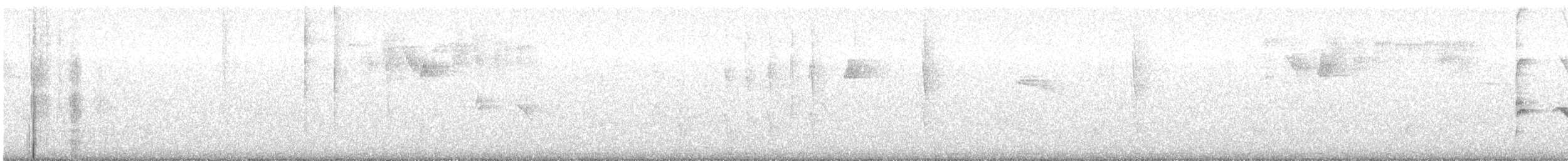 Striolated Manakin - ML644754472