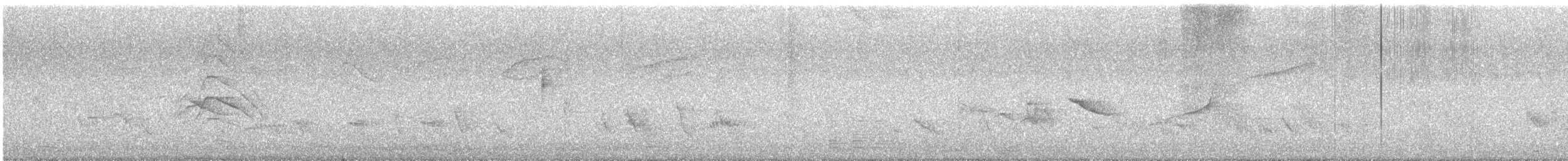 Tropikal Taklitçi - ML644754889