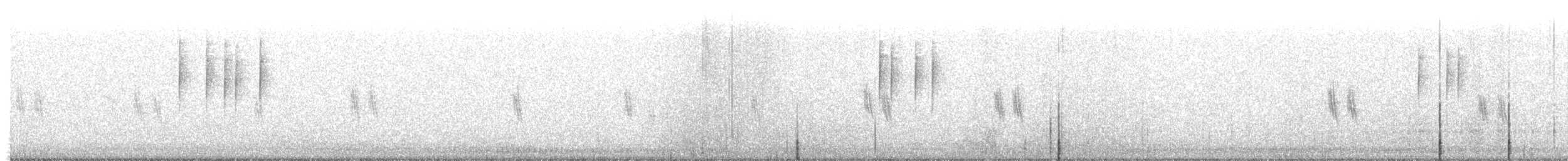 gråsisik (cabaret) (brunsisik) - ML644754949