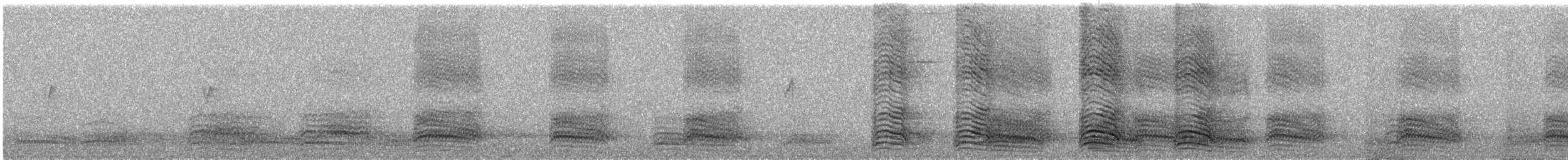 Грач - ML644755521