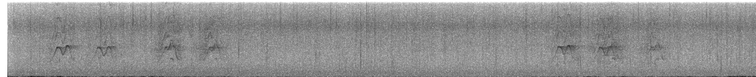 Dwarf Jay - ML644758327