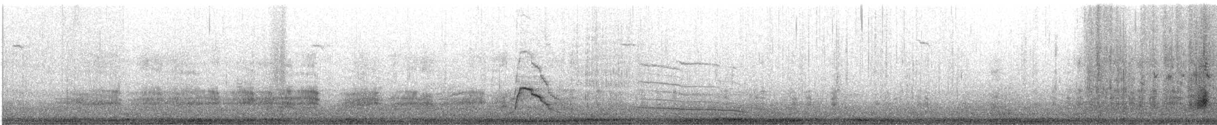 綠頭鴨 - ML644759063