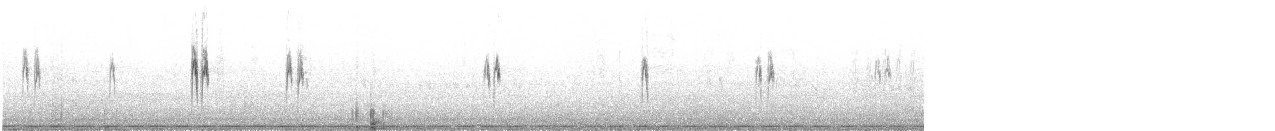 白鶺鴒(yarrellii) - ML644759080