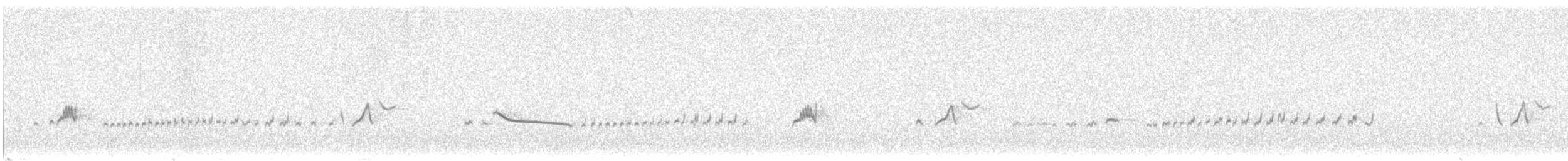 Say's Phoebe - ML644759651