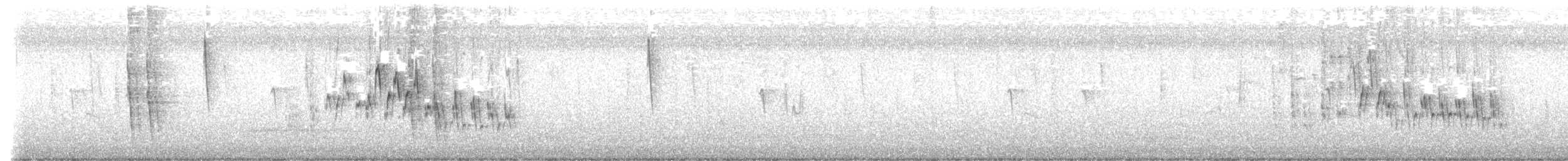 Troglodyte familier (groupe aedon) - ML644759779