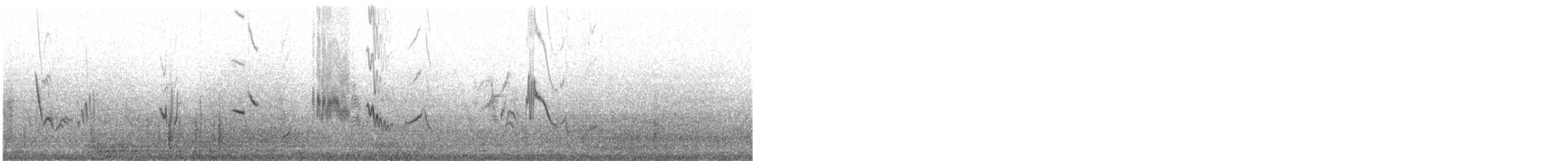 Collalba Afgana - ML644759816