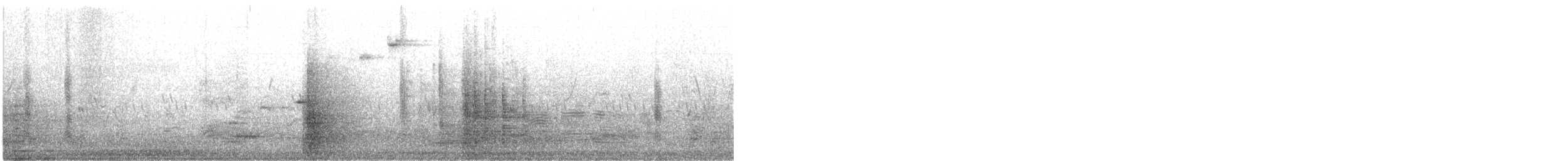 Collalba Pía - ML644759861